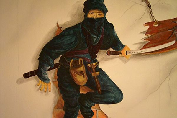 ninja-1-20130828-1029680686FE109197-44AD-B571-C185-C95CE58CC0CE.jpg