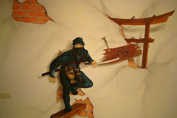ninja-2-20130828-12015832760B6E0EA7-7652-BE7E-E254-C11AB5CA0E08.jpg